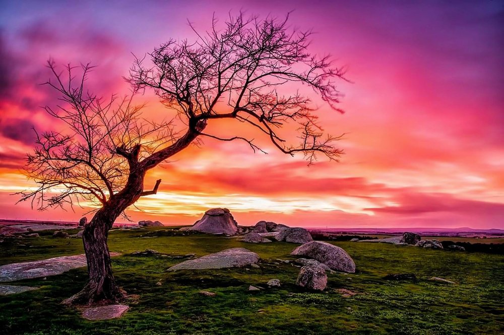 Photograph by Bryan Vu