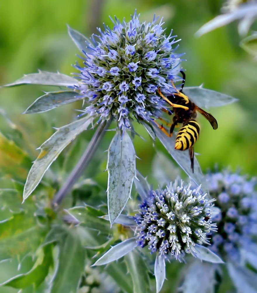 Photograph by НИНА АВЕРЬЯНОВА