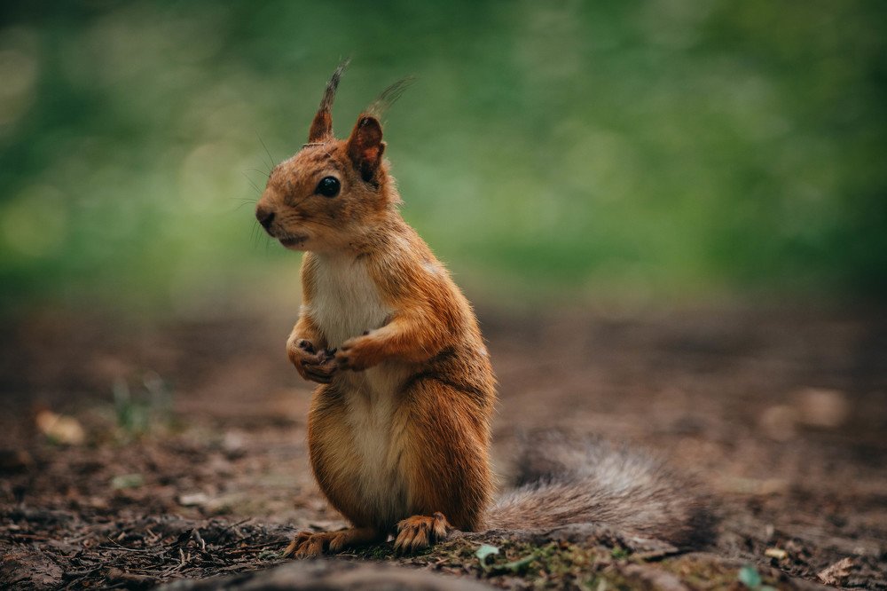 Photograph by Zorikhin Mikhail