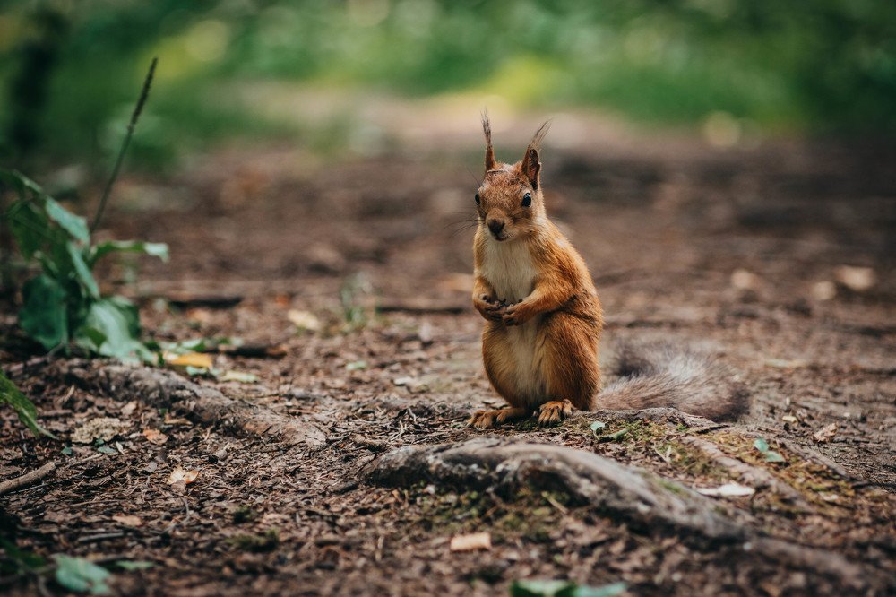 Photograph by Zorikhin Mikhail