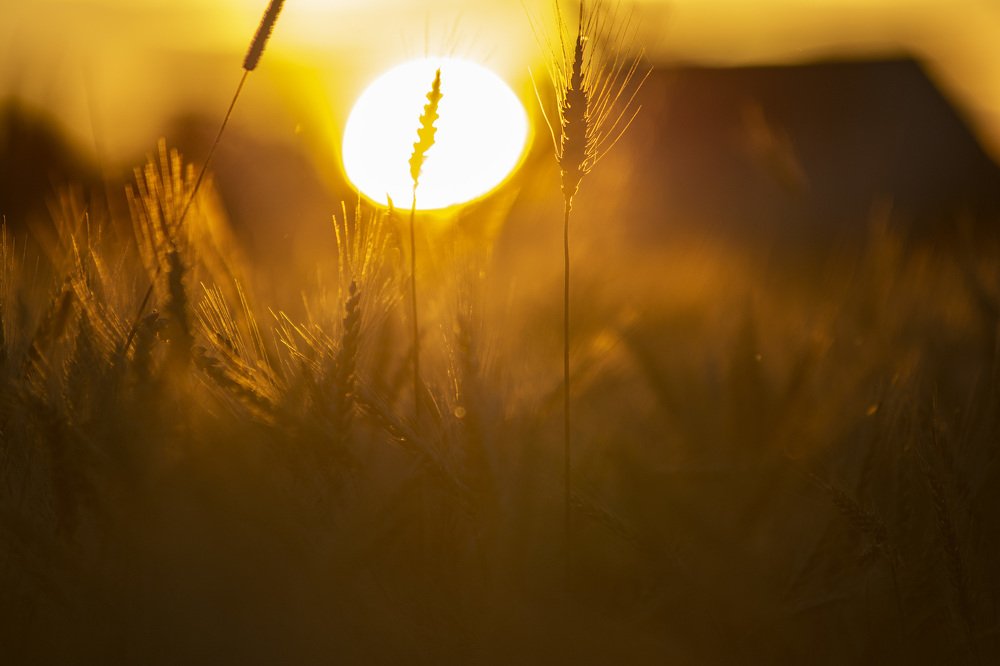 Photograph by Вадим Жирков