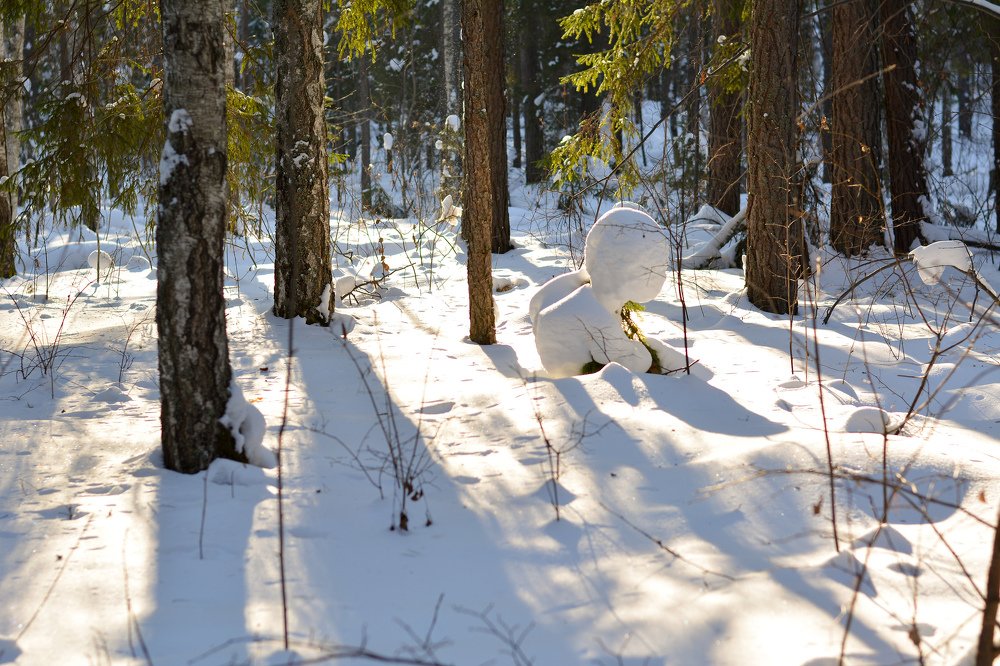 Photograph by Ольга Воронина