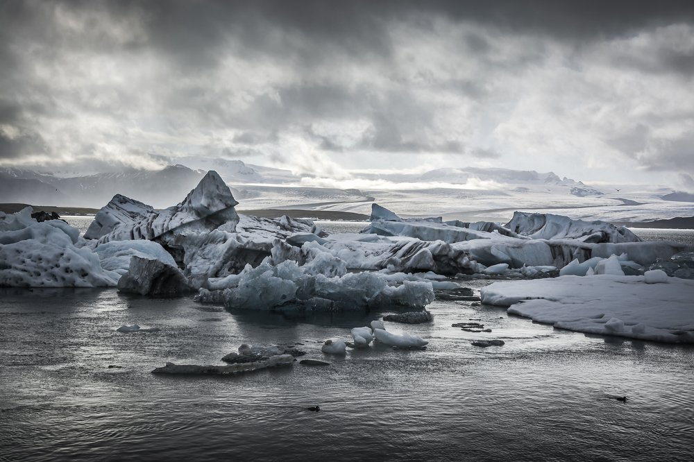 Photograph by Daniel Turbasa