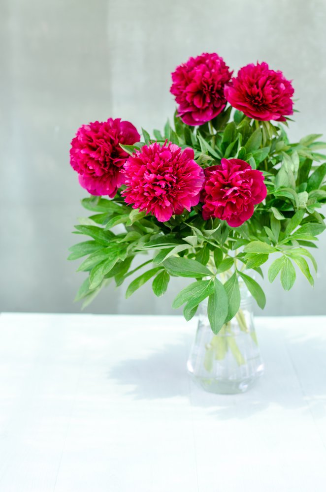 Фотография автора Oleksandr Shatyrov