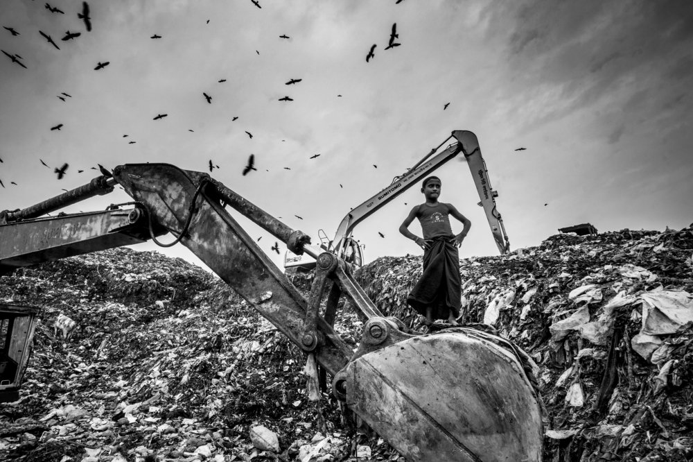 The boy in wastage garden