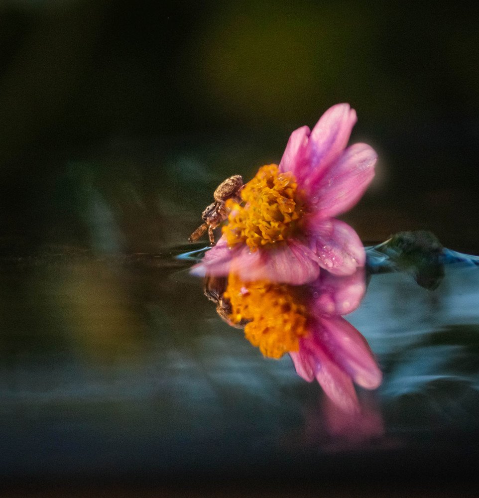 Photograph by Маргарита Федурина