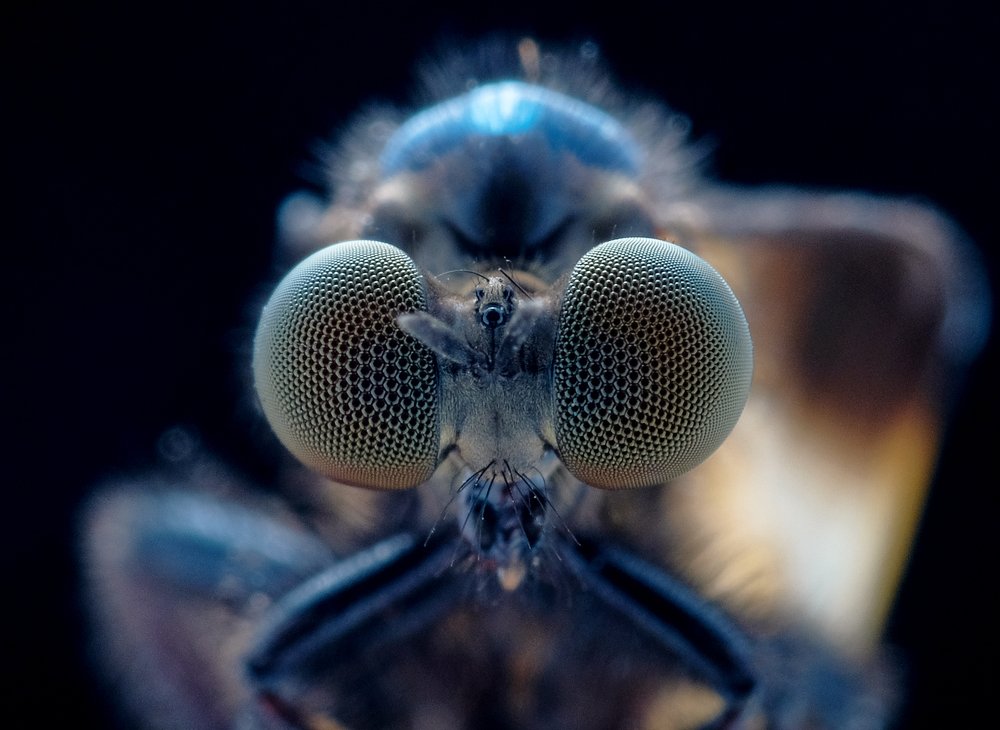 Photograph by Chuah Christopher