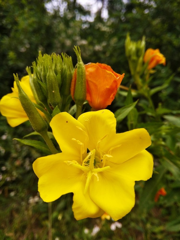 Photograph by Руслан