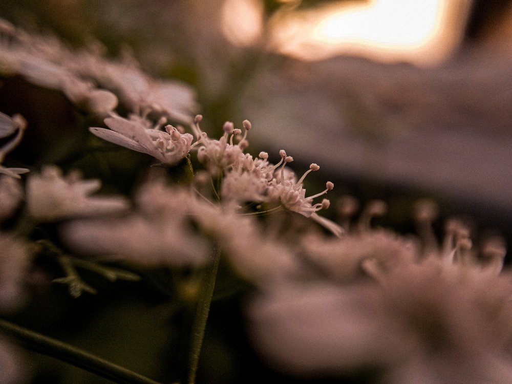 Photograph by Nishant Wankhede