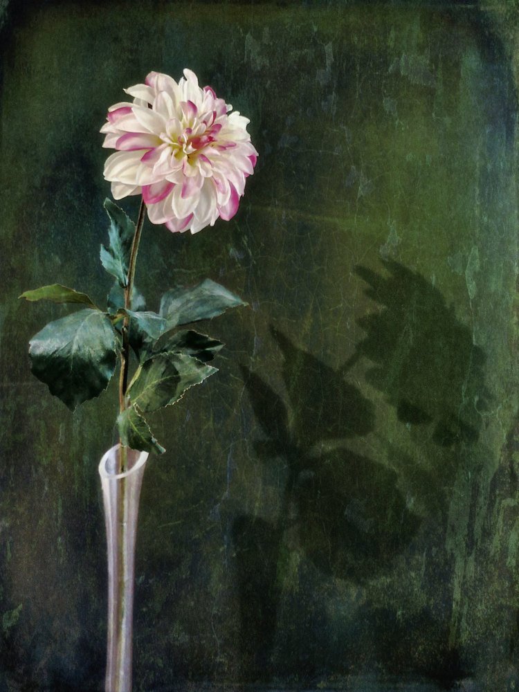 LONELY / ОДИНОЧЕСТВО