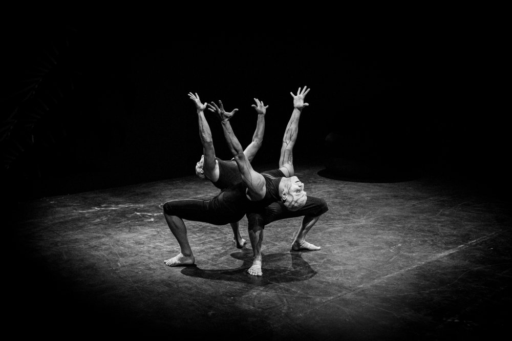 Photograph by tamaddon homayoun