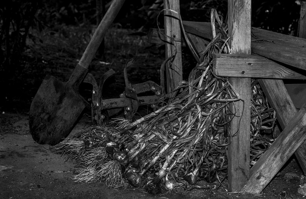 Photograph by Александр Калудин