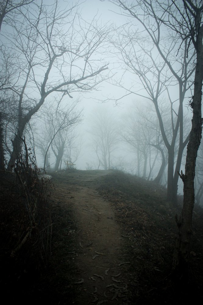 Photograph by tamaddon homayoun