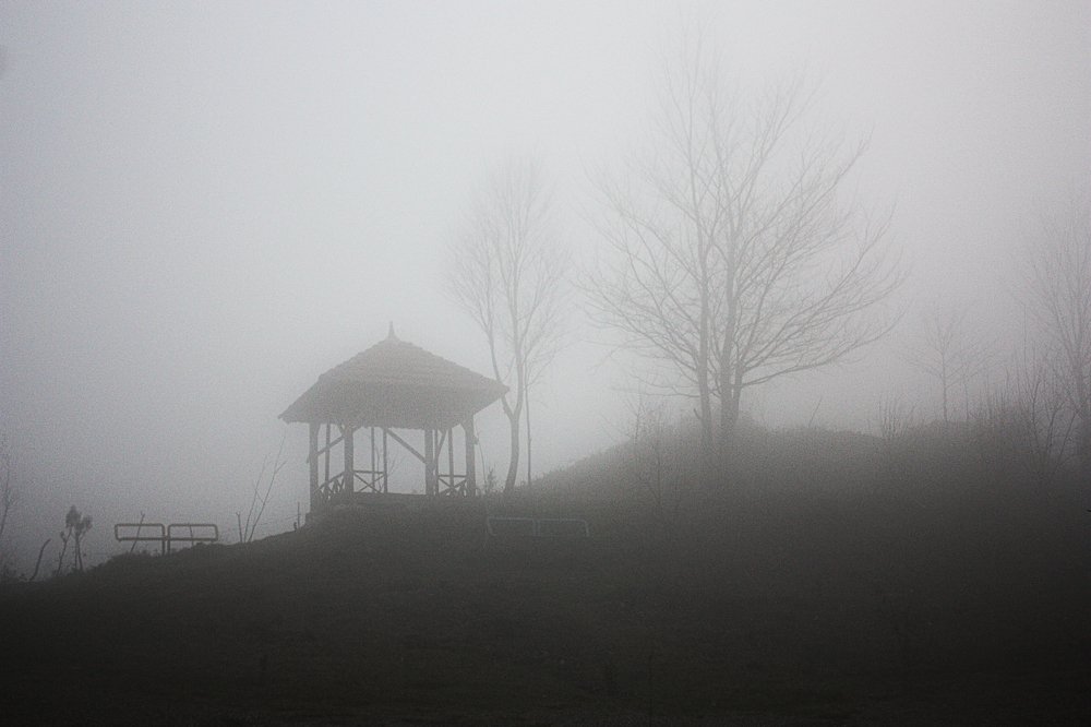 Photograph by tamaddon homayoun