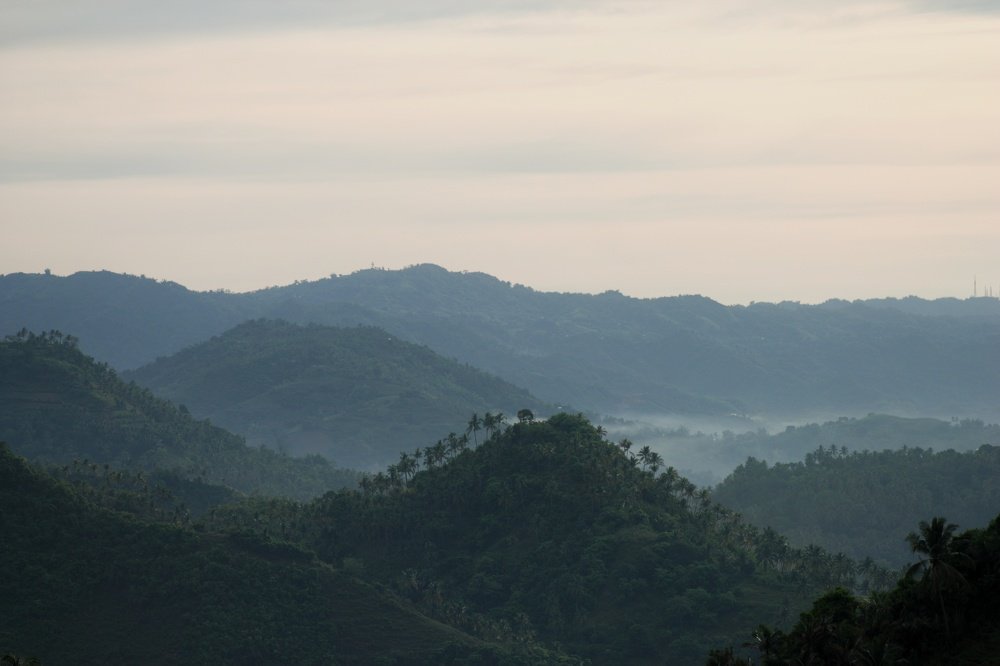 Coconut mountain