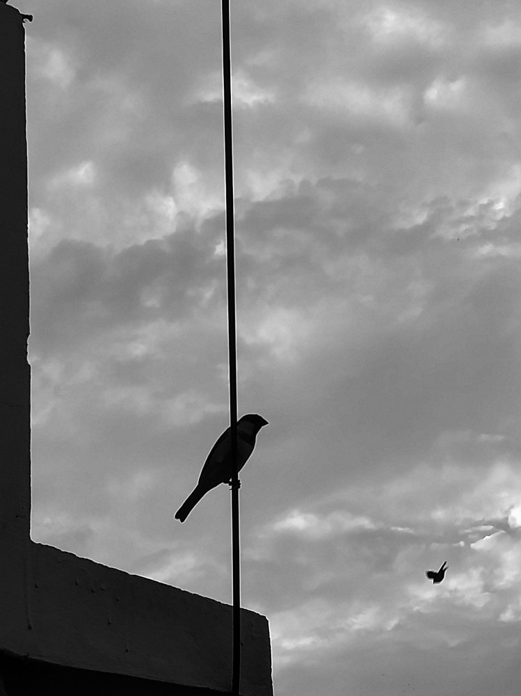 Photograph by Ahmed Imtiaj