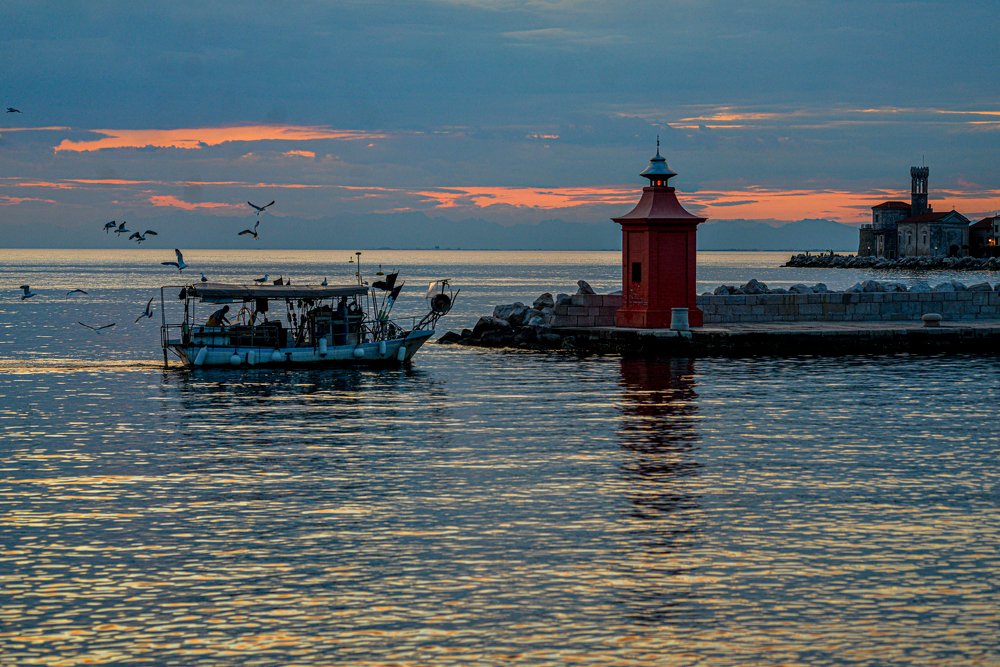 Photograph by Luka Mitrovic