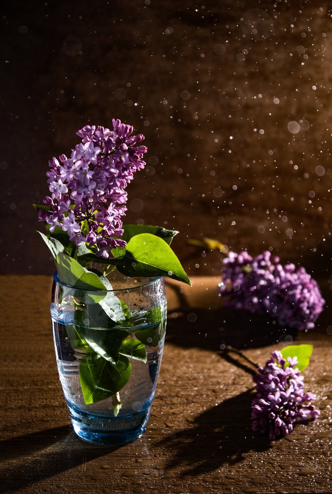 Photograph by Лилия Корж