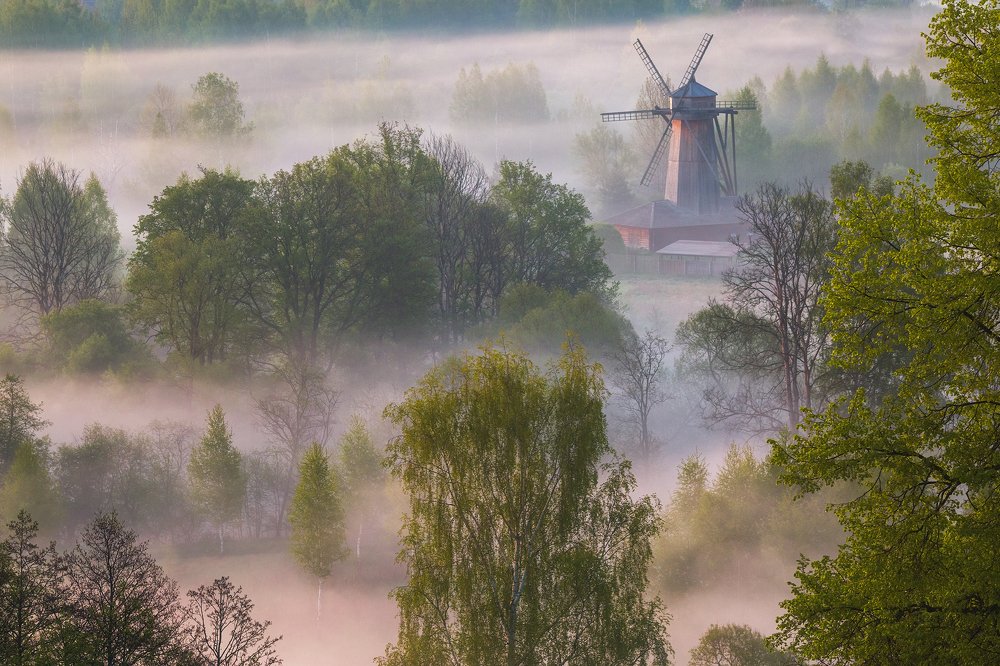 Весеннее утро