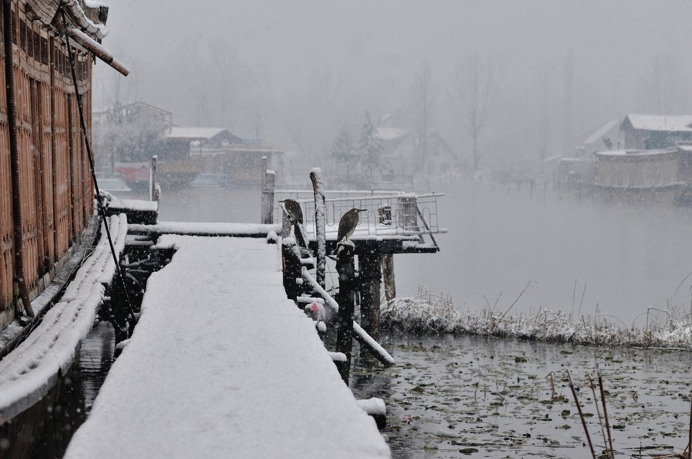 Photograph by Farhad sheikh