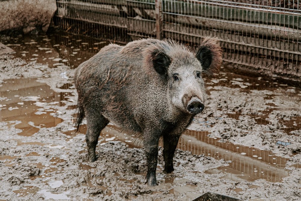 Photograph by Михаил Балабин