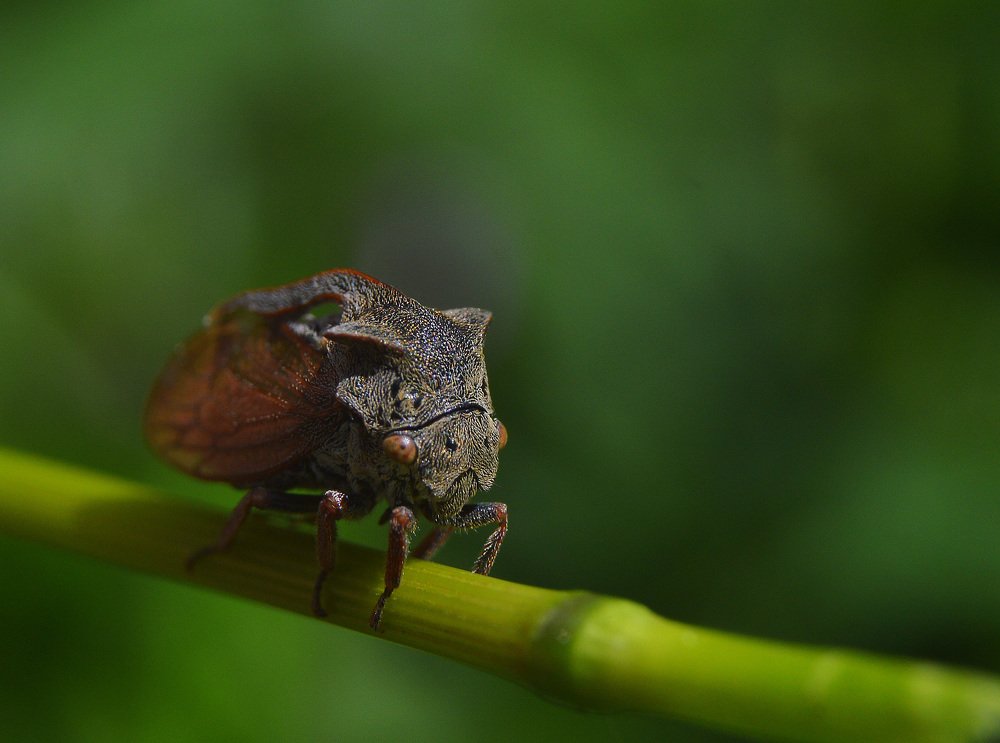 Фотография автора Сергей Суворов