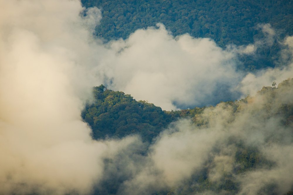 Photograph by Shivendra Singh