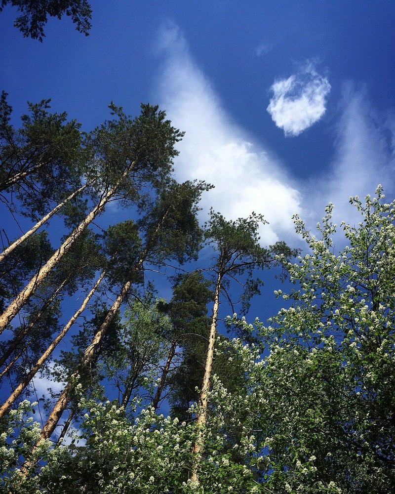 Photograph by Светлана Коган