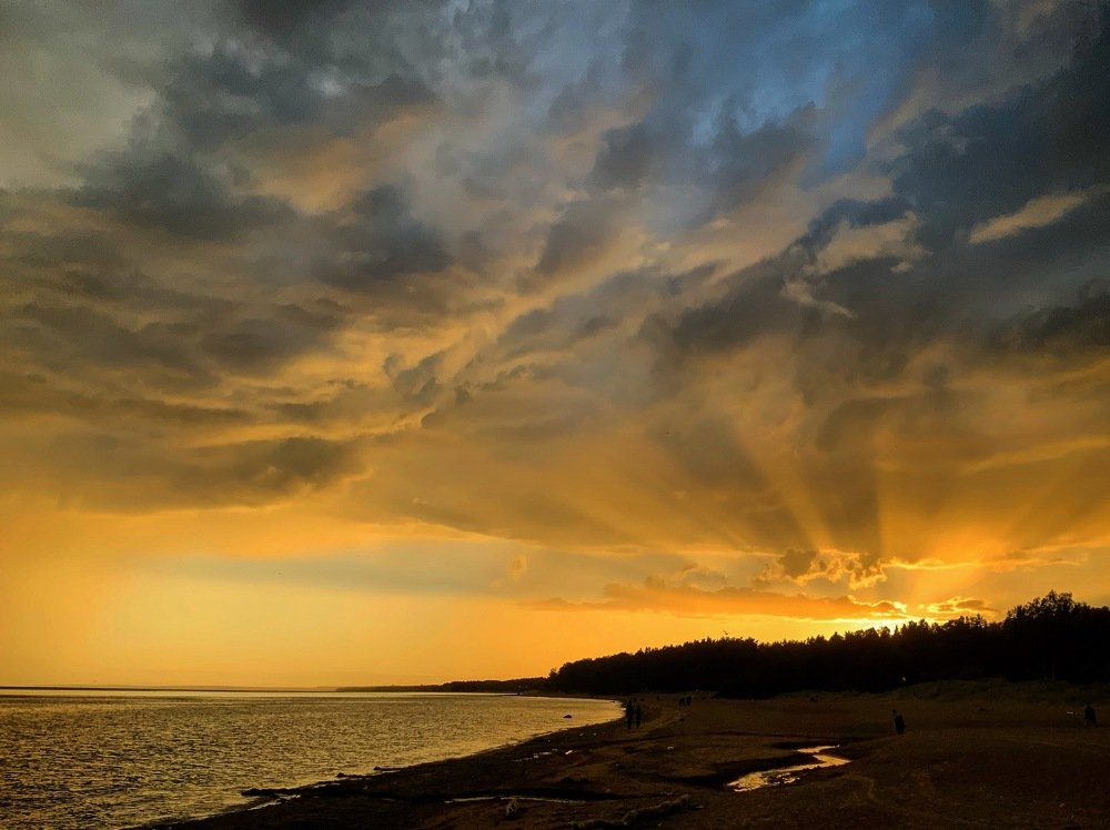 Photograph by Светлана Коган