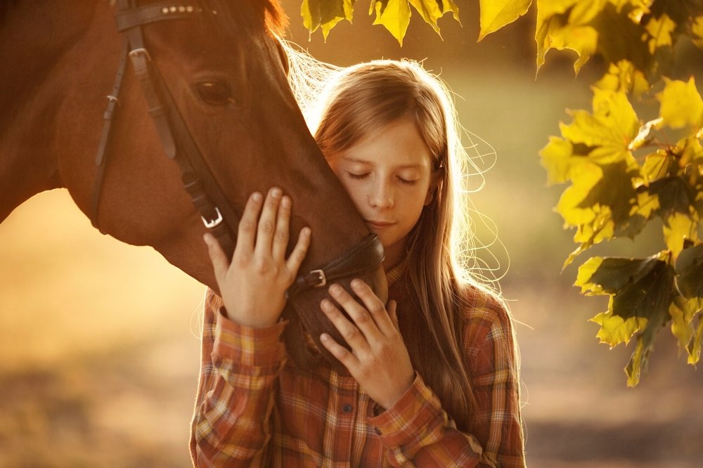 Одно сердце на двоих