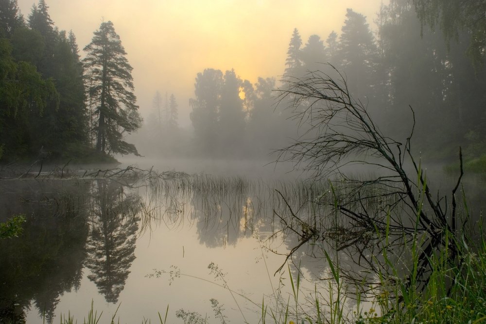 Photograph by Андрей Зуев