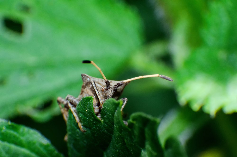 Photograph by маргиз Сафаров