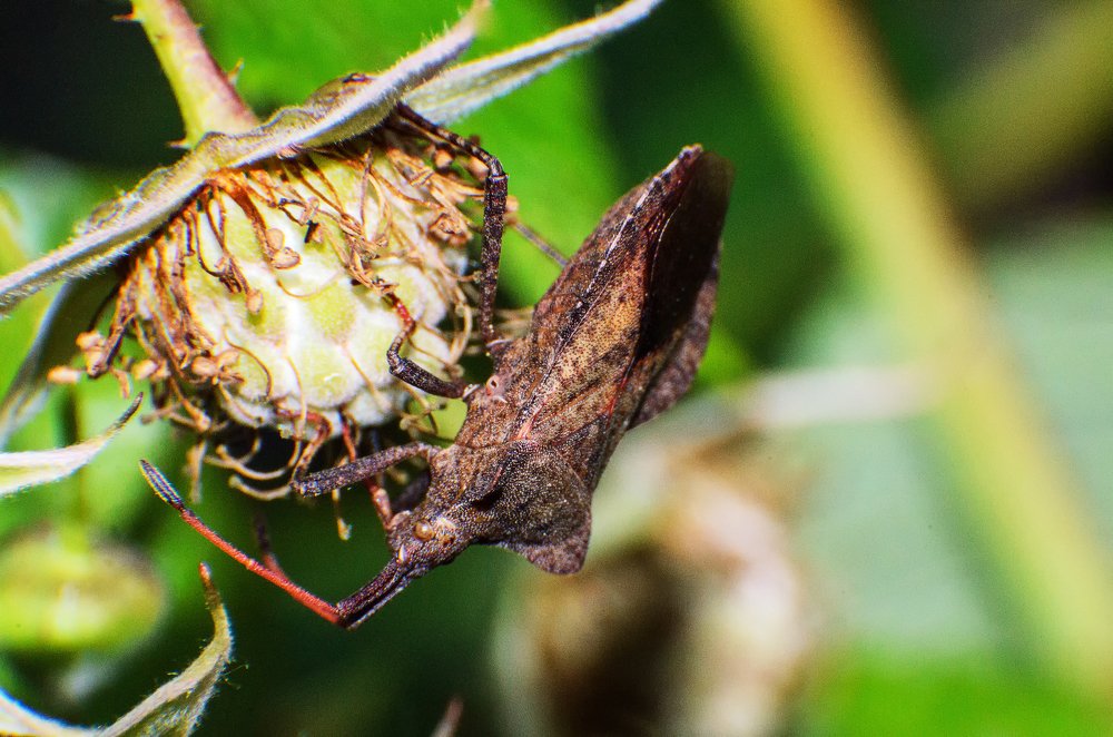 Photograph by маргиз Сафаров