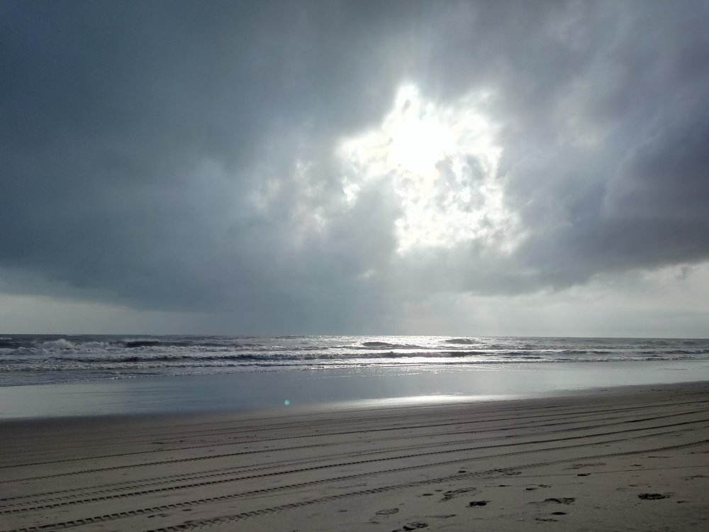 Photo #4768775