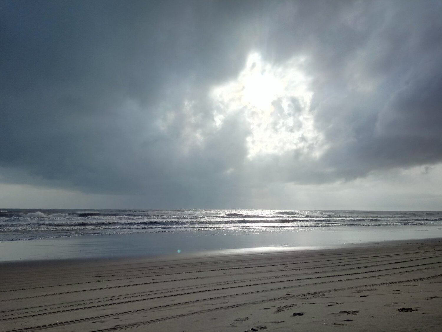 Photo #4768775