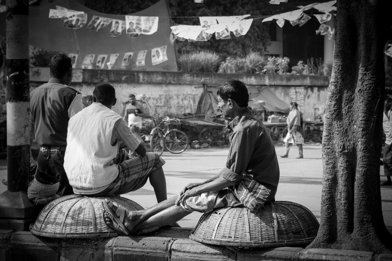 Photo #4768776