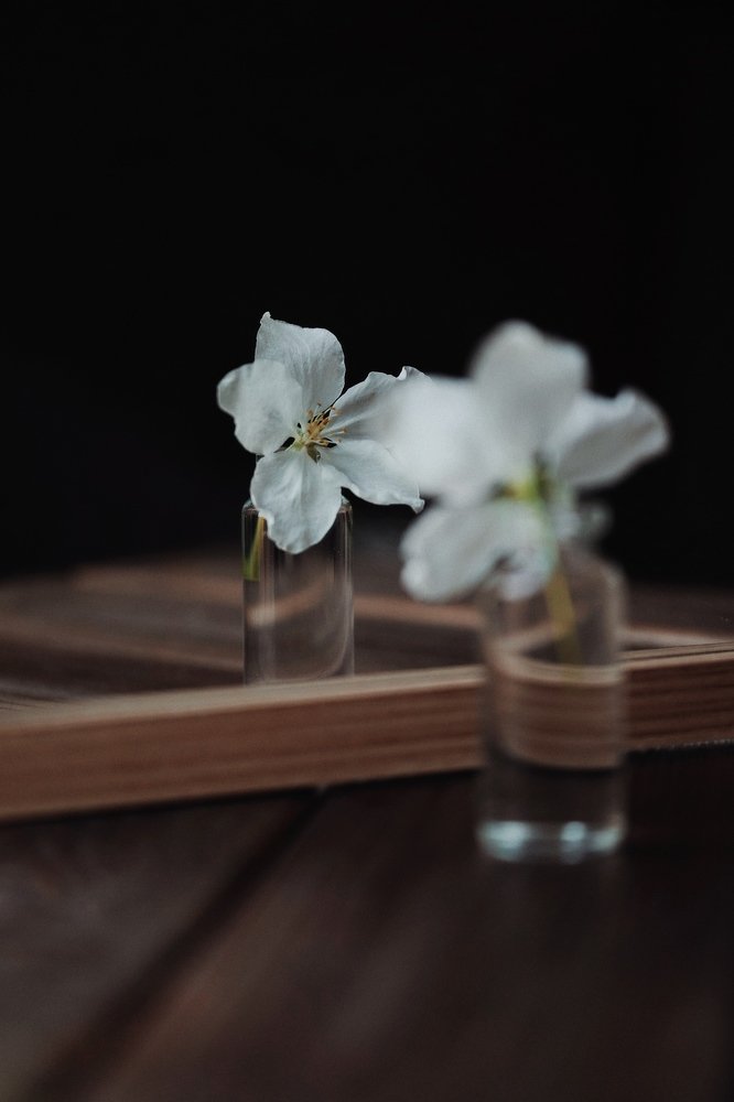 Photograph by Анастасия Като