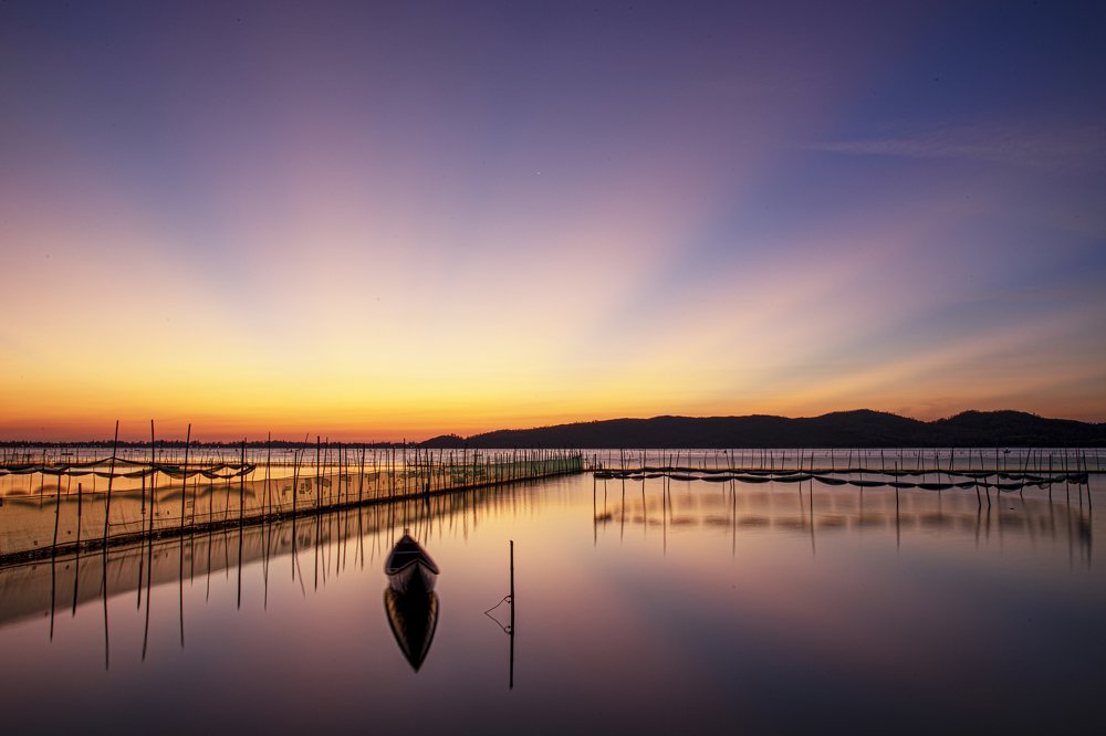 Photograph by Hong Tran