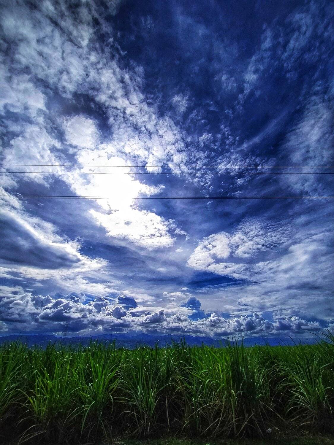 Kingdom of Heaven