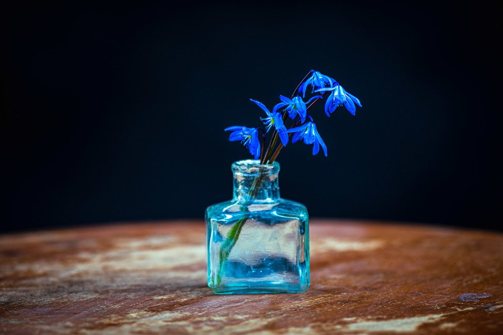 Фотография автора Dmitriy Sotnikov