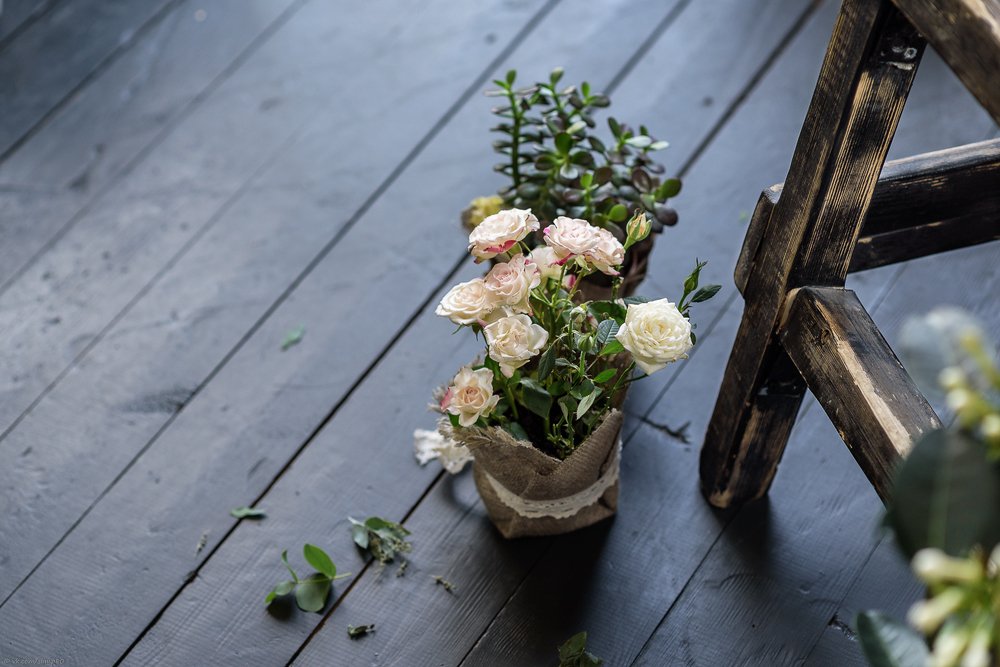 Фотография автора Dmitriy Sotnikov