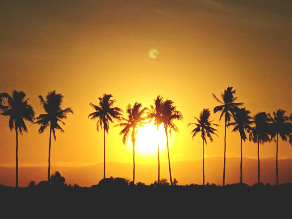 Sunrise and silhouettes