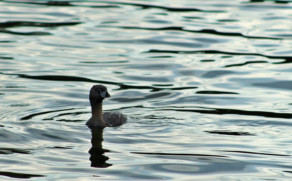 Photograph by Luis Javier Marina Corral