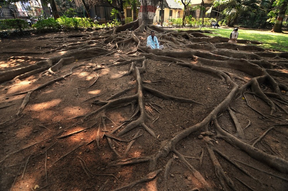 Searching my roots and identity