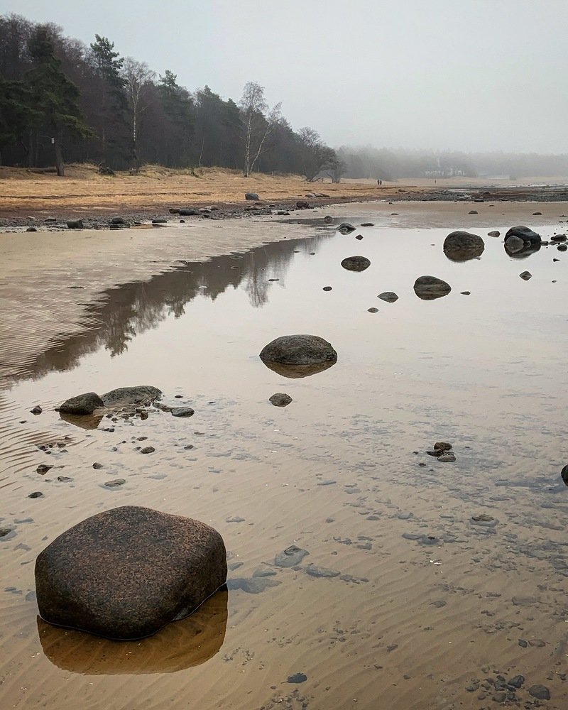 Photograph by Светлана Коган