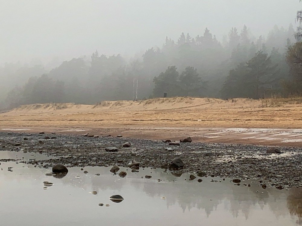 Photograph by Светлана Коган