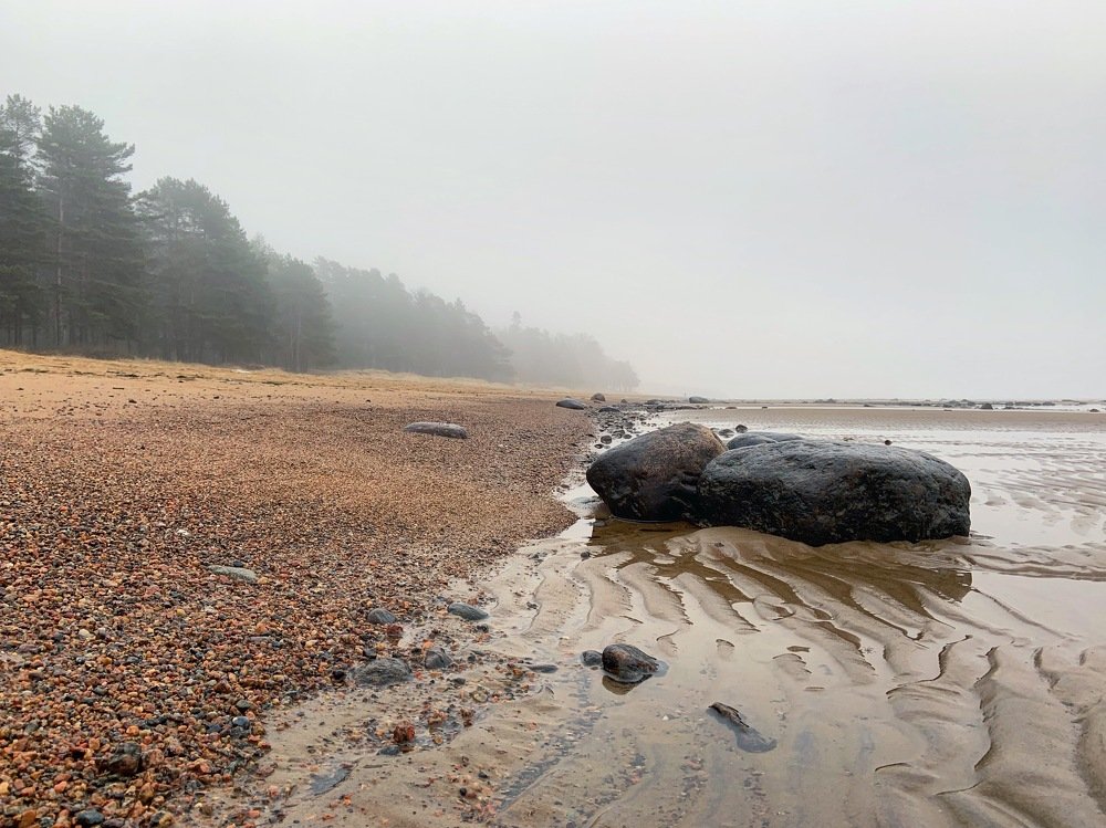 Photograph by Светлана Коган