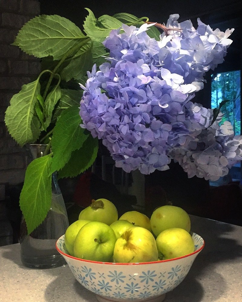 Photograph by Светлана Коган