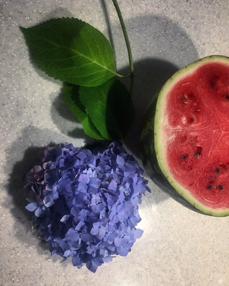 Photograph by Светлана Коган