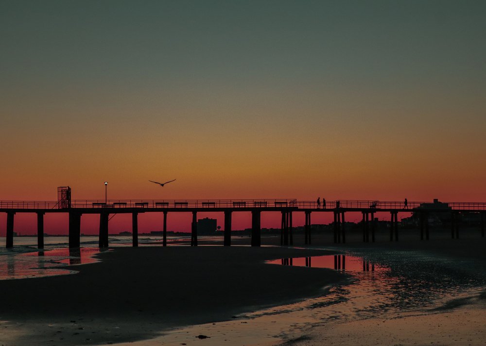 Photograph by Alisa Bryz-Gornia